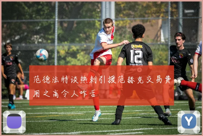 范德法特谈热刺引援范赫克交易费用之高令人咋舌